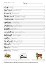 DSS_2S_Bu_st_Nr_07.pdf